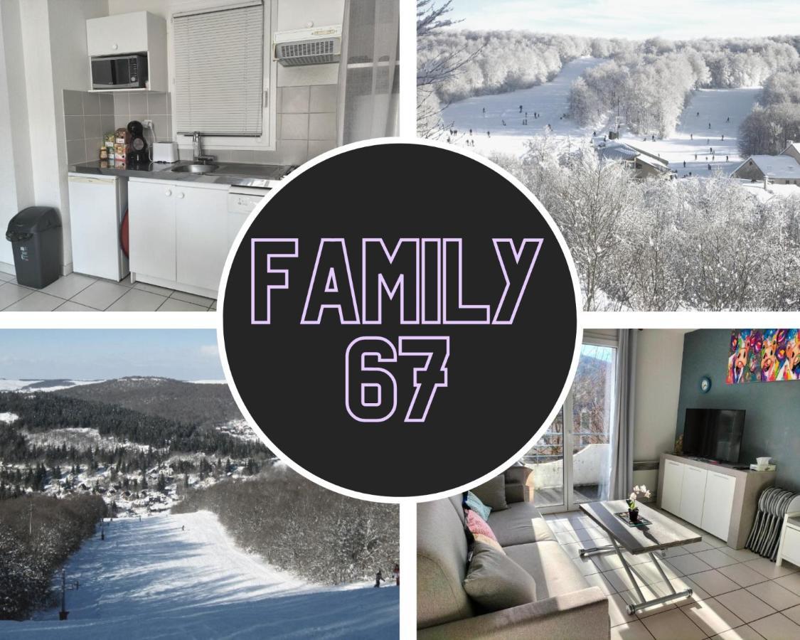 Apartamento T2 Avec Piscine-Le Family 67 Pierrefiche  Exterior foto